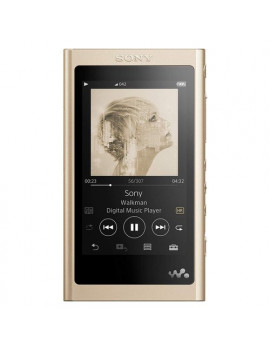 Lettore MP3 NWA 55 LN Sony