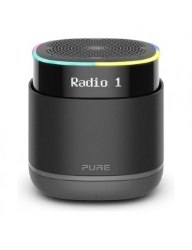 Cassa wireless Portable Smart radio Pure