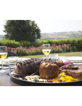 FONTANA FORNI MEDITERRANEO BARBECUE COTTURA DIRETTA LEGNA BRACIERE  RINFORZATO