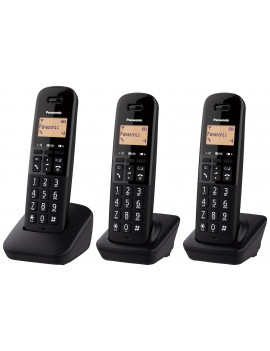 PANASONIC KXTGB613JTB CORDLESS TRIO 1.4" VIVAVOCE MEM50NUM CALL BLOCK NERO