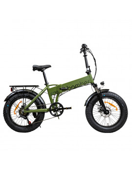 Lime Bici Elettrica E Bike EMG BIKE 20FB03 E-BIKE FAT 36V MAXI