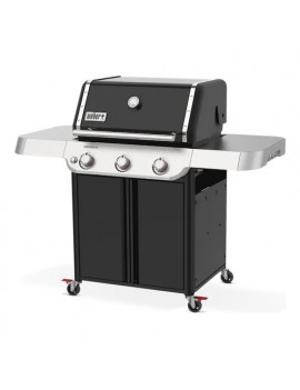 Barbecue E 315 Weber