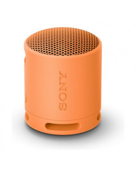 Cassa wireless Compact Sony