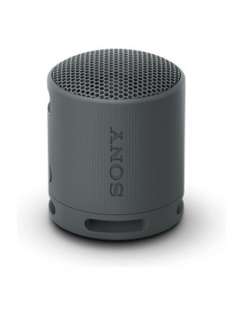 Cassa wireless Compact Sony