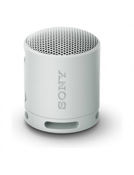 Cassa wireless Compact Sony